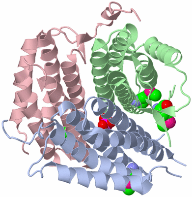 Image Asym./Biol. Unit