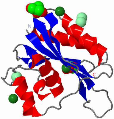 Image Asym./Biol. Unit
