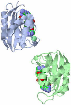 Image Asymmetric Unit