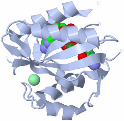 Image Biological Unit 1