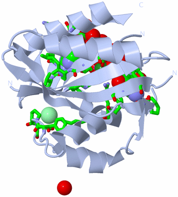 Image Biol. Unit 1 - sites