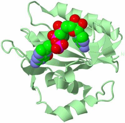 Image Biological Unit 2