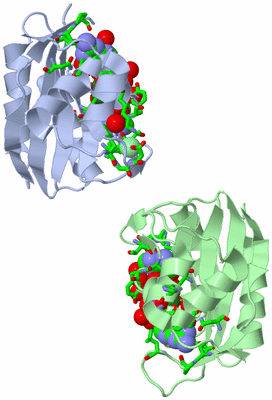 Image Asym. Unit - sites