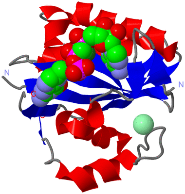 Image Asym./Biol. Unit