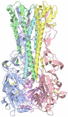 Image Biological Unit 1