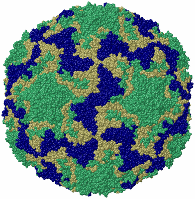 Image Biological Unit 1