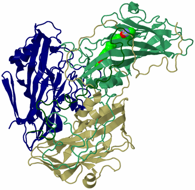 Image Asymmetric Unit
