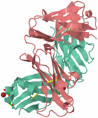 Image Asym./Biol. Unit - sites