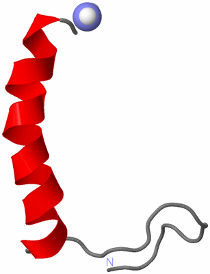 Image NMR Structure - model 1