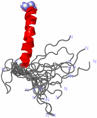 Image NMR Structure - all models