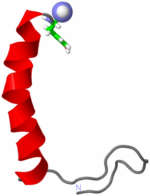 Image NMR Structure - model 1, sites