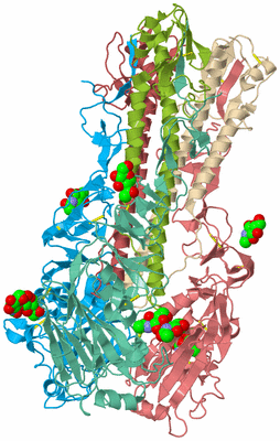 Image Asym./Biol. Unit