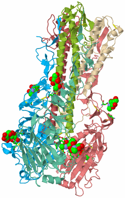 Image Asym./Biol. Unit - sites