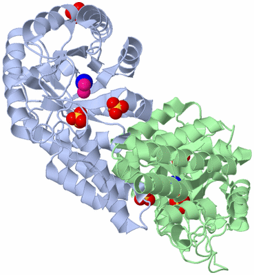 Image Biological Unit 1