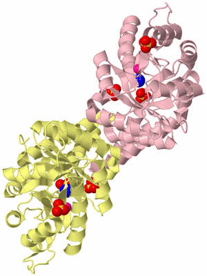 Image Biological Unit 2