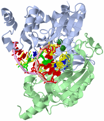 Image Asym./Biol. Unit