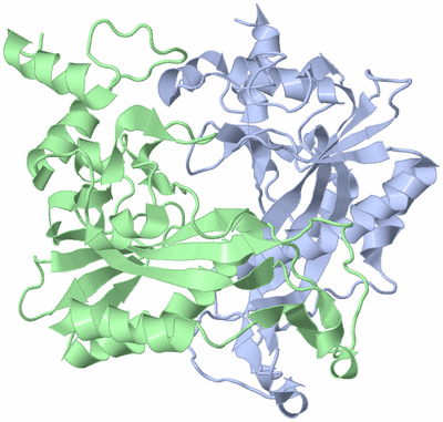 Image Asym./Biol. Unit