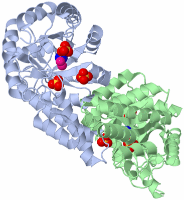 Image Biological Unit 1