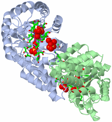 Image Biol. Unit 1 - sites