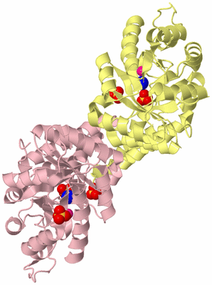 Image Biological Unit 2