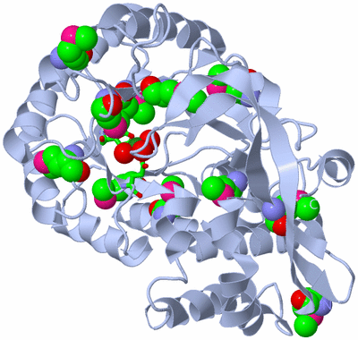 Image Biol. Unit 1 - sites