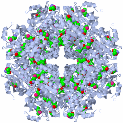 Image Biological Unit 2