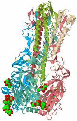 Image Asym./Biol. Unit