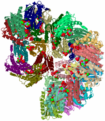 Image Biological Unit 1