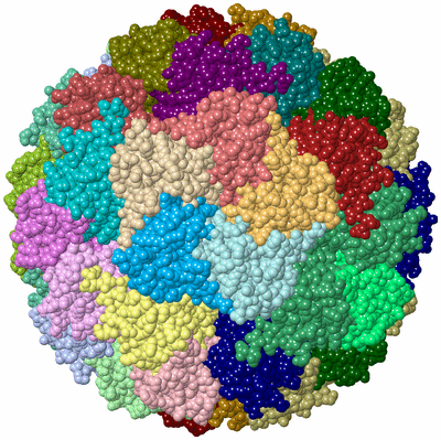 Image Biological Unit 2