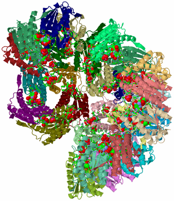 Image Asym. Unit - sites