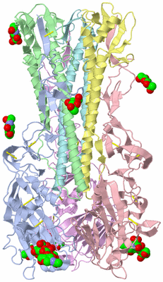 Image Biological Unit 1