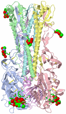 Image Biol. Unit 1 - sites