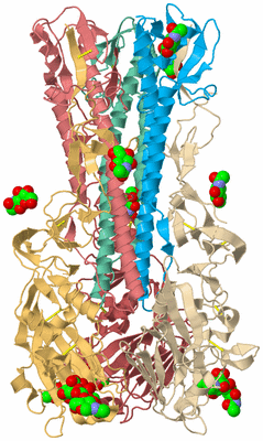 Image Biological Unit 2