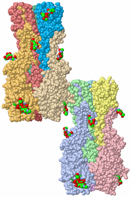 Image Asym. Unit - sites