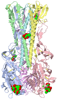 Image Biological Unit 1