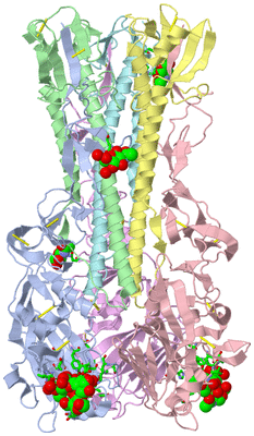 Image Biol. Unit 1 - sites