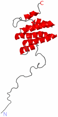 Image NMR Structure - model 1