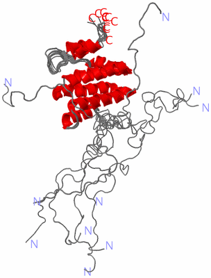 Image NMR Structure - all models