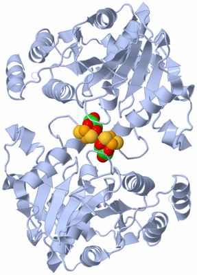 Image Biological Unit 1