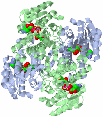 Image Biological Unit 1