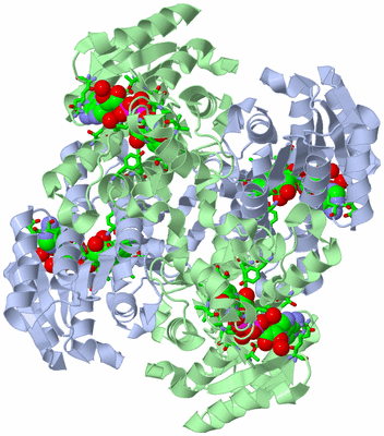 Image Biol. Unit 1 - sites