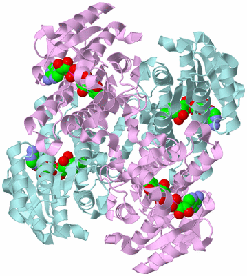 Image Biological Unit 2