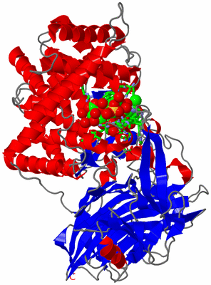 Image Asym./Biol. Unit - sites