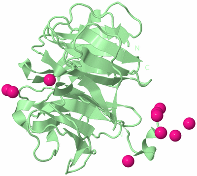 Image Biological Unit 1