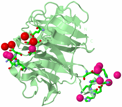 Image Biol. Unit 1 - sites