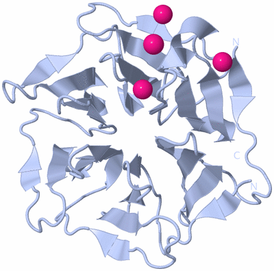 Image Biological Unit 2