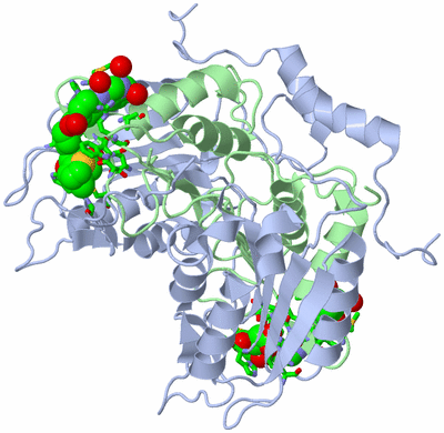 Image Biol. Unit 1 - sites