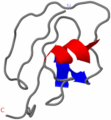 Image NMR Structure - model 1