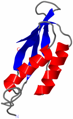 Image NMR Structure - model 1