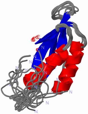 Image NMR Structure - all models